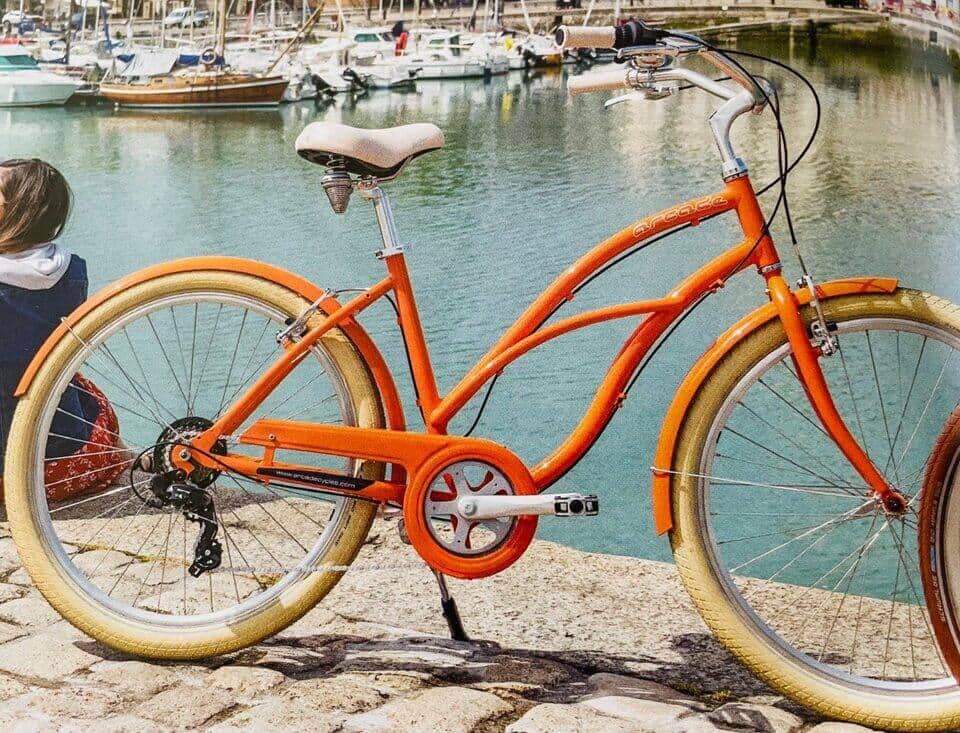 VTC mixte à louer aux Saintes-Maries-de-la-Mer